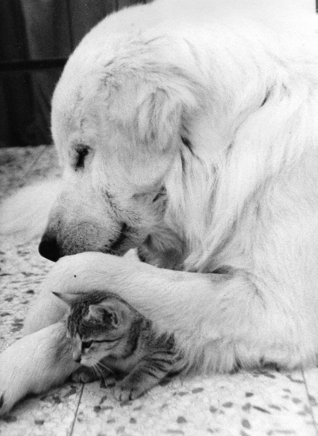 la piccola tabata con il suo papà 'speciale !