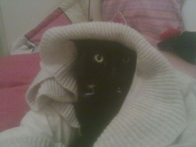 La coperta di Linusss