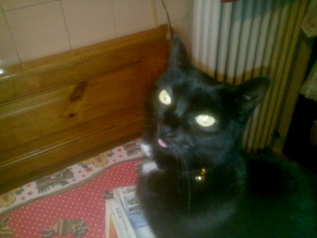 COME PRENDERSI GIOCO DELL'ESSERE UMANO