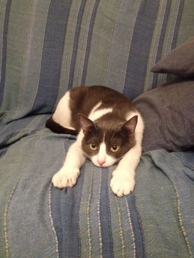 una delle sue posizioni preferite