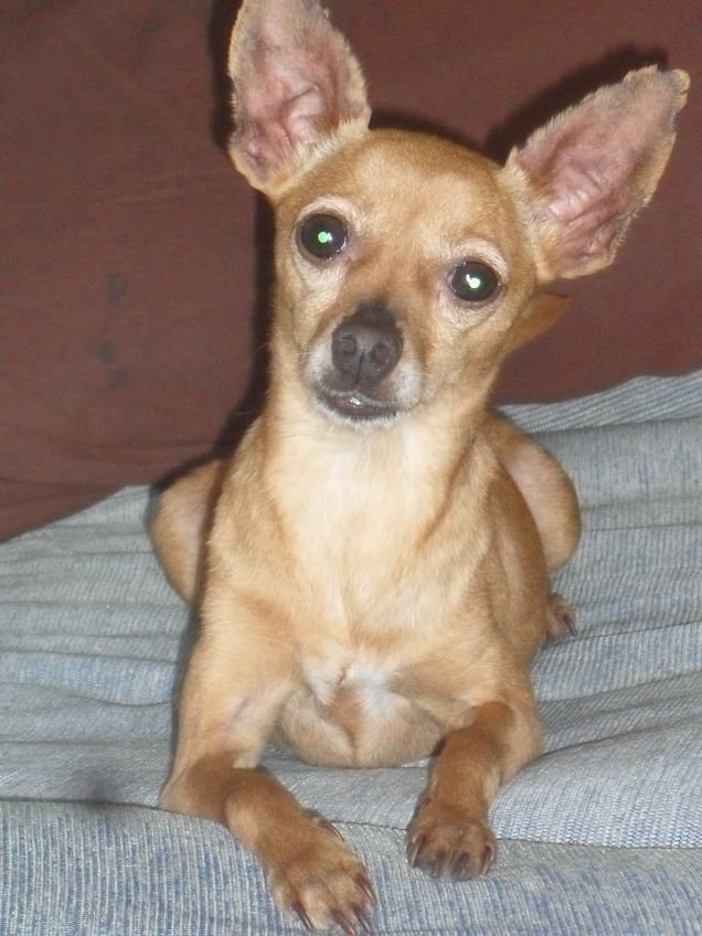 Selly sono la regina del divano