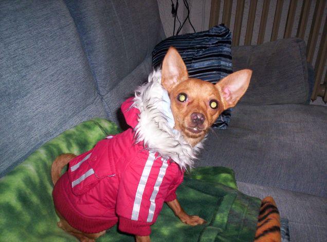 Pronta.. per uscire fuori c'è la neve.... Dove andiamo ?