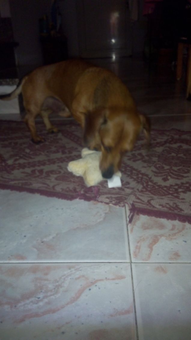 gasto e il premio vinto al sondaggio:)