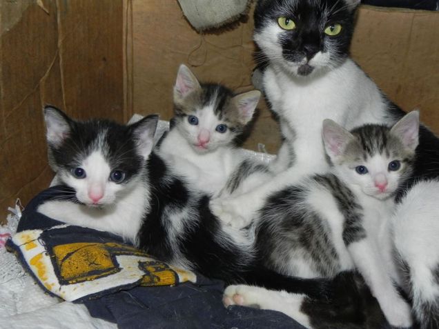 una parte dei miei 'amici'