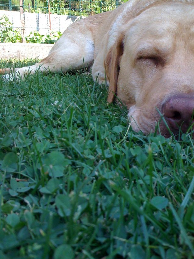 Estete...troppo caldo!