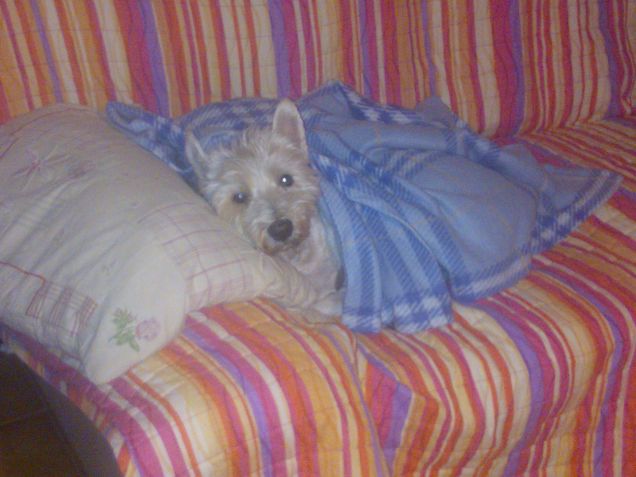 pomeriggio invernale