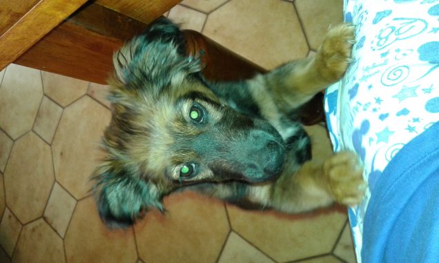 voglio un pò del tuo cibo :P