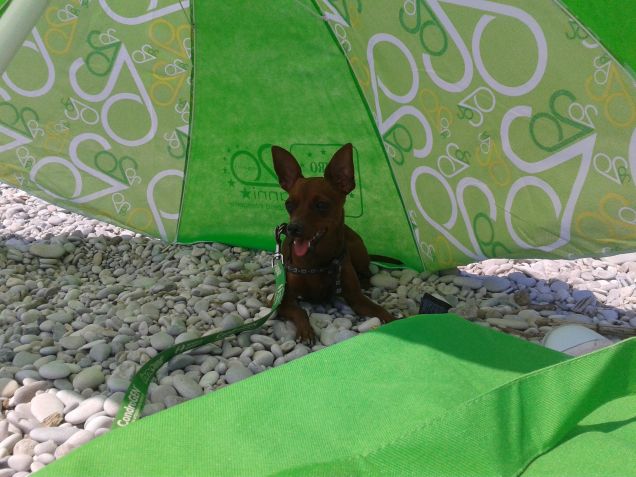 io e la mia cucciolotta siamo tali e quali 