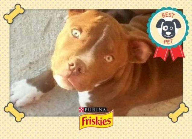 Gionata...prima di fare il bagnetto ;-)