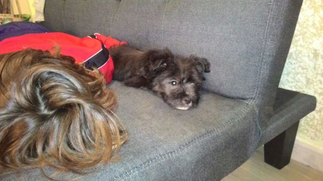 Roger fa il riposino