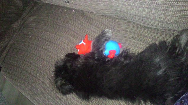 Roger fa il riposino