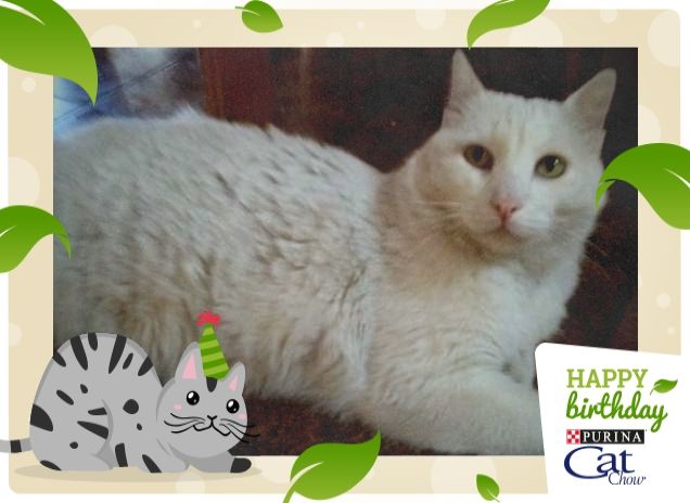 Perchè mi guardi così??