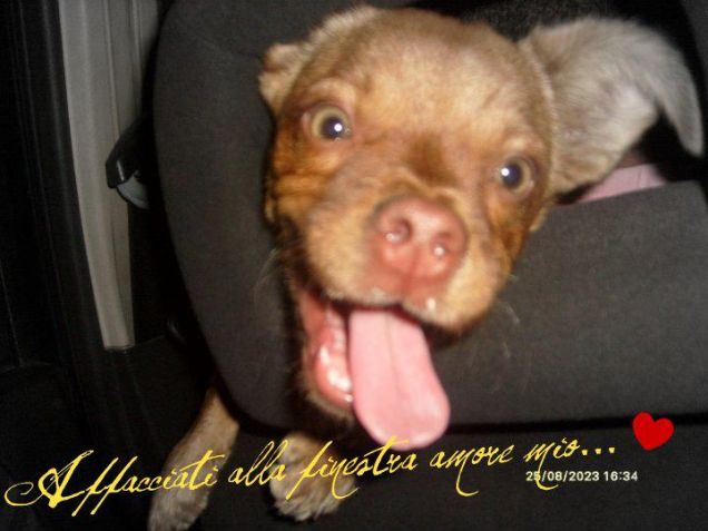 Affacciati alla finestra amore mio *_*