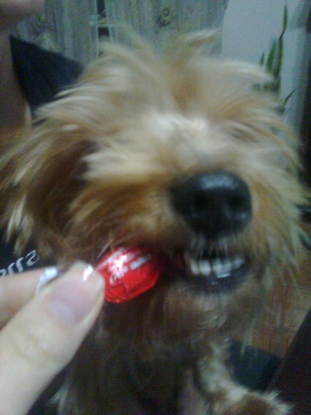 lui che prima di andare a dormire vuole un pò di caffè :)