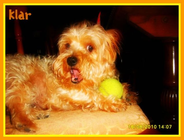 E' proprio un gocherellone :D