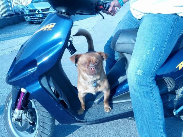 ma come è bello andare a spasso :)