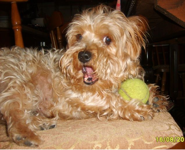 amici per la pelle :)