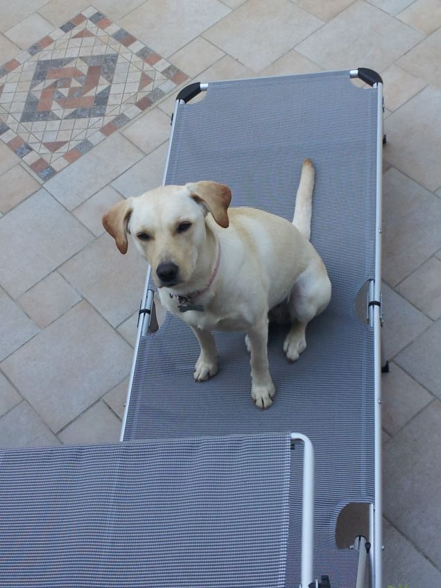 Peggy sullo sdraio :)