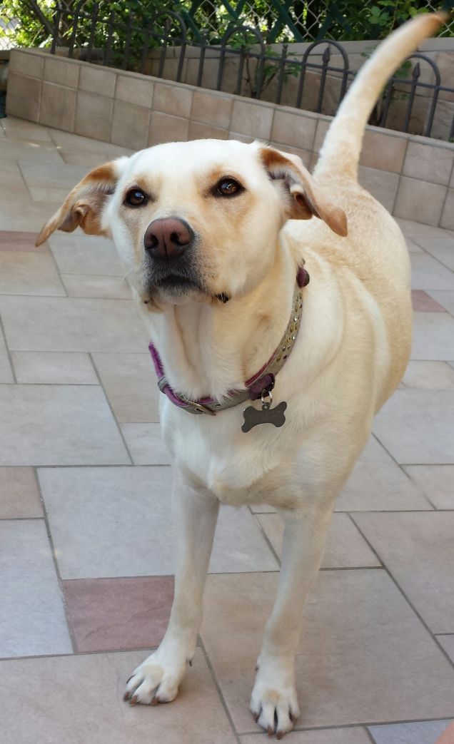 Peggy ancora a casa sua!