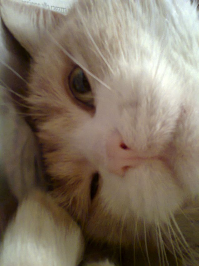 ...quasi quasi dormo...