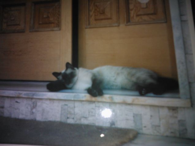 Il mio posto preferito