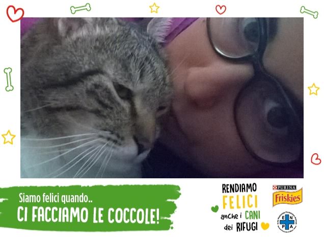 coccole