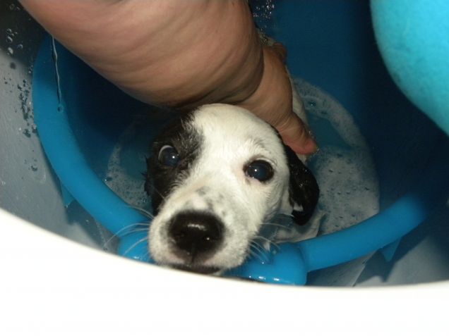 Marta fa il bagnetto (una tragedia!)