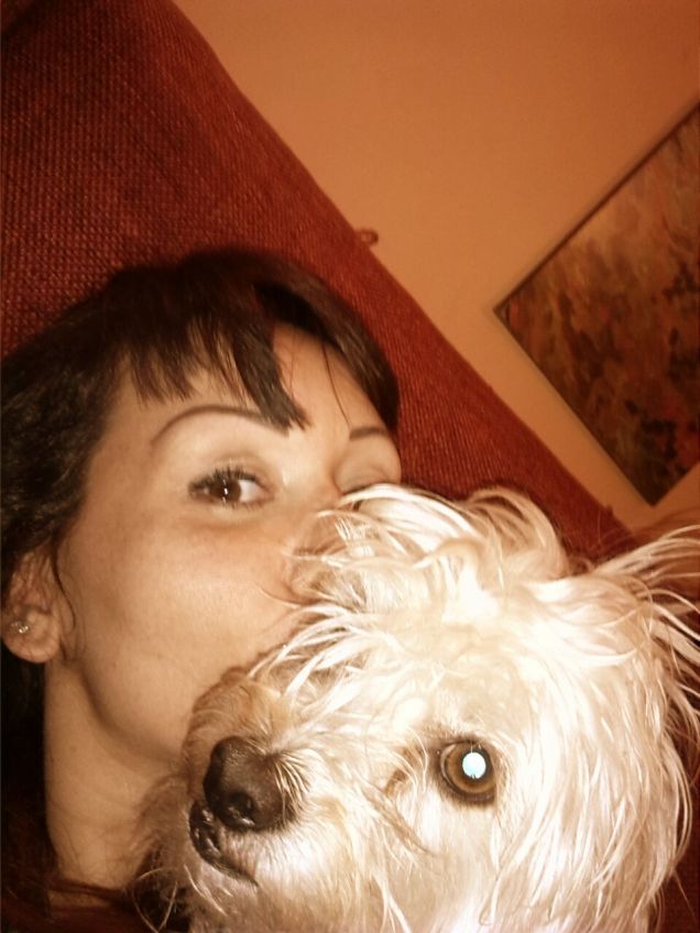 a.a.a. cercasi coccole