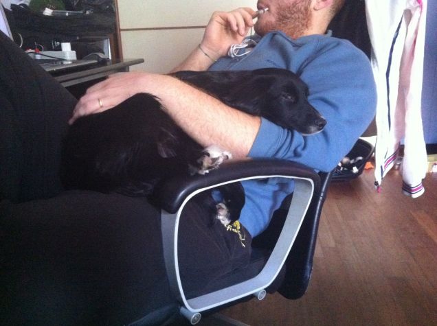 dorme sempre in braccio