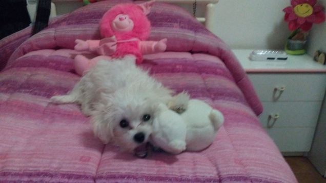 Wendy e i suoi pupazzi