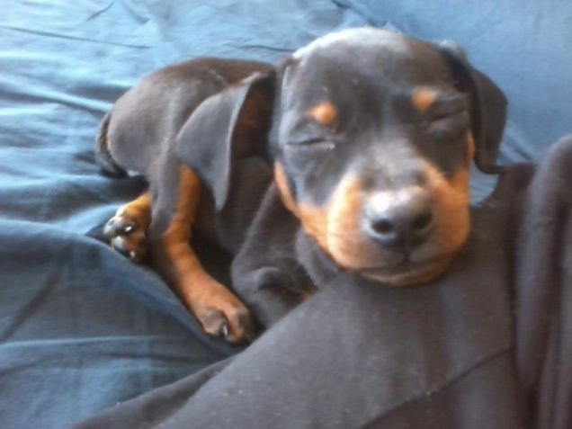 Lady appena arrivata a casa