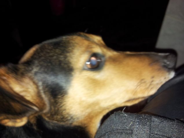 il mio profilo migliore