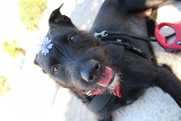 Bello come un fiore!