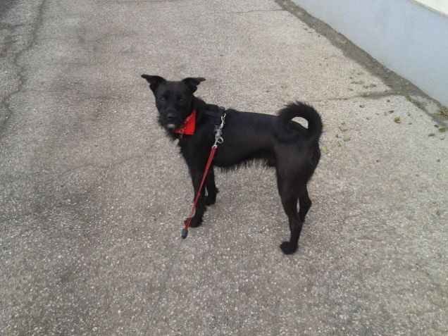 Durante la passeggiata