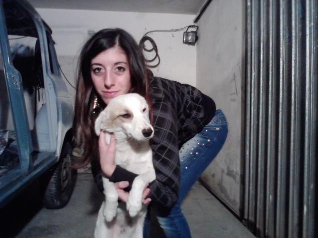 Nanuk.. il mio cuore!