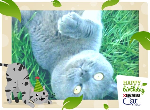 Un augurio speciale da Venere 