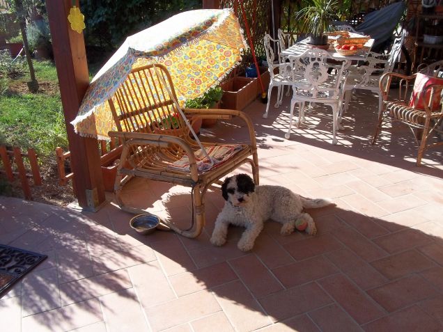 gea e la vacanza preferita...a casa sua !