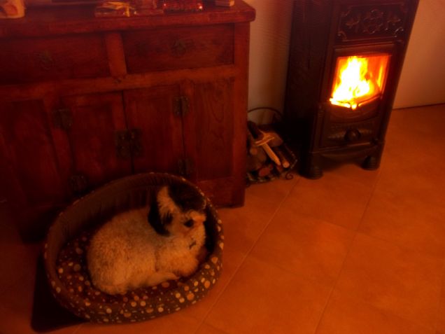 ...arriva il freddo, dolce casa!