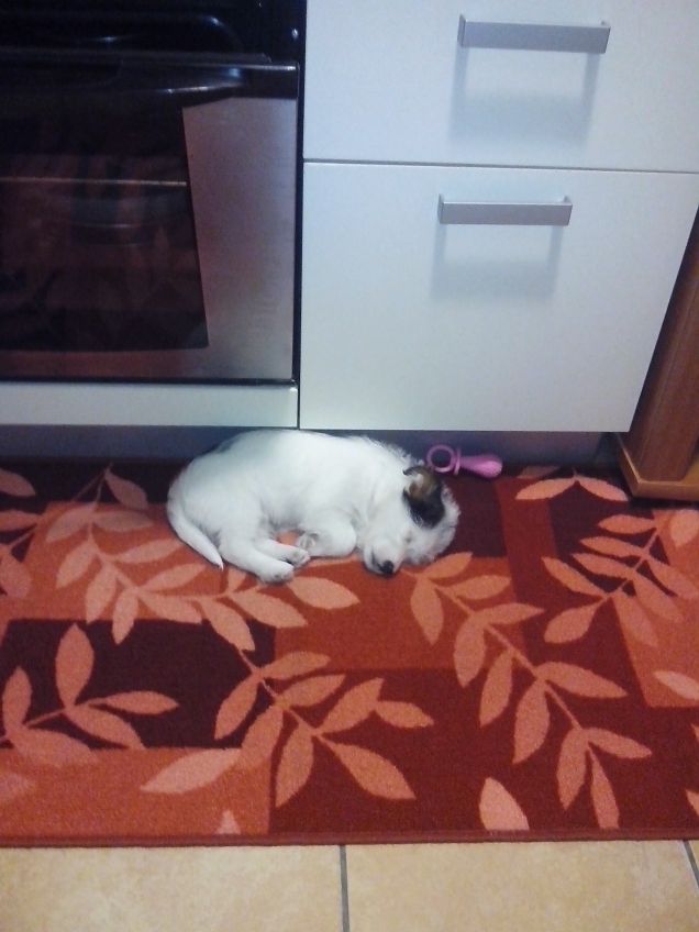 qui e un po più grande