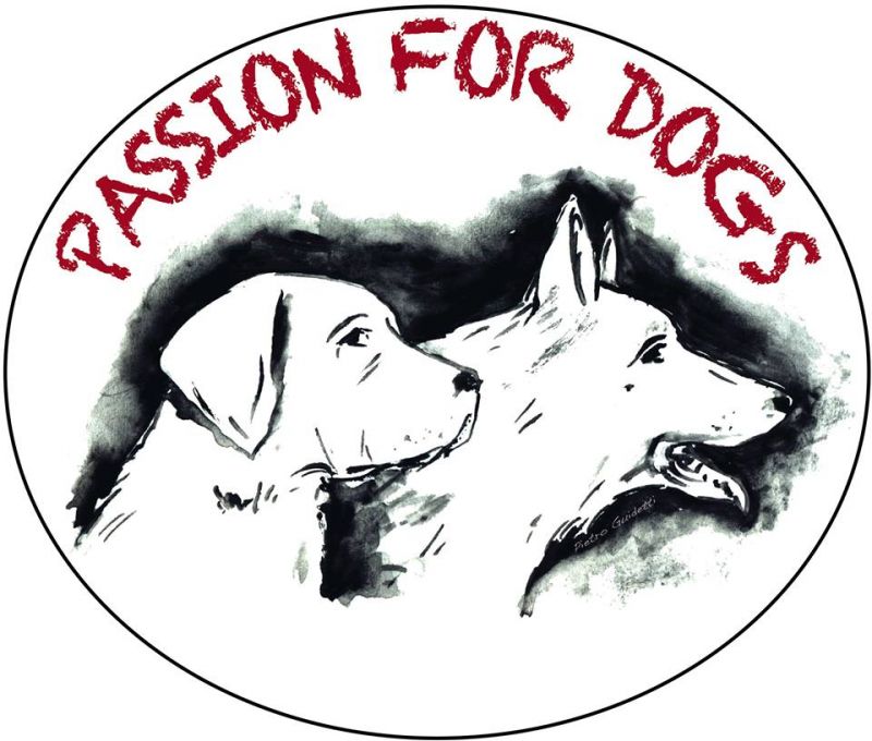 Passion for Dogs - educazione e attività cinofile