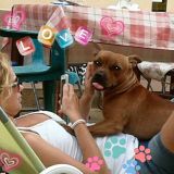 Maya 1 anno e 12 mesi di felicità :D