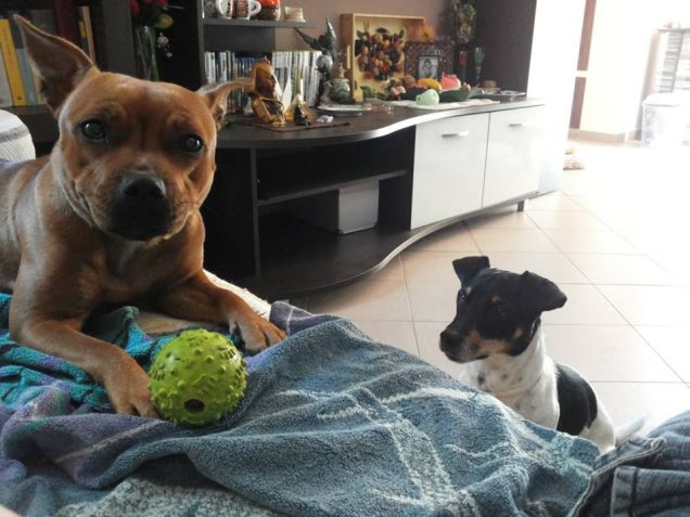 Mi sento osservata!!!