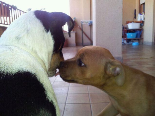 Dai, solo un bacino!