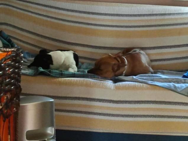 Schiacciamo un pisolino...