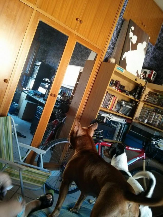 Alla scoperta dello specchio!