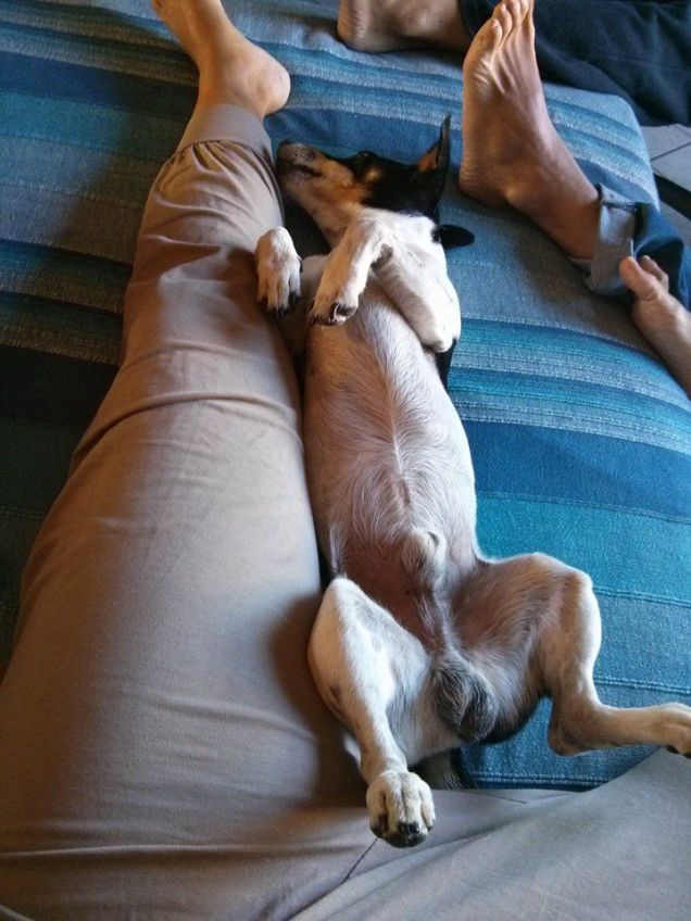 I gioielli di famiglia