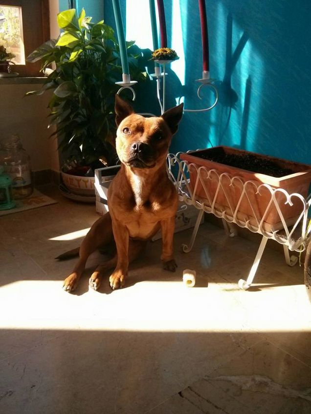 Il sole bacia le belle