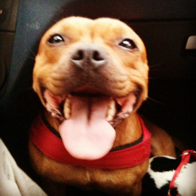 Più ti guardo e più mi innamoro!