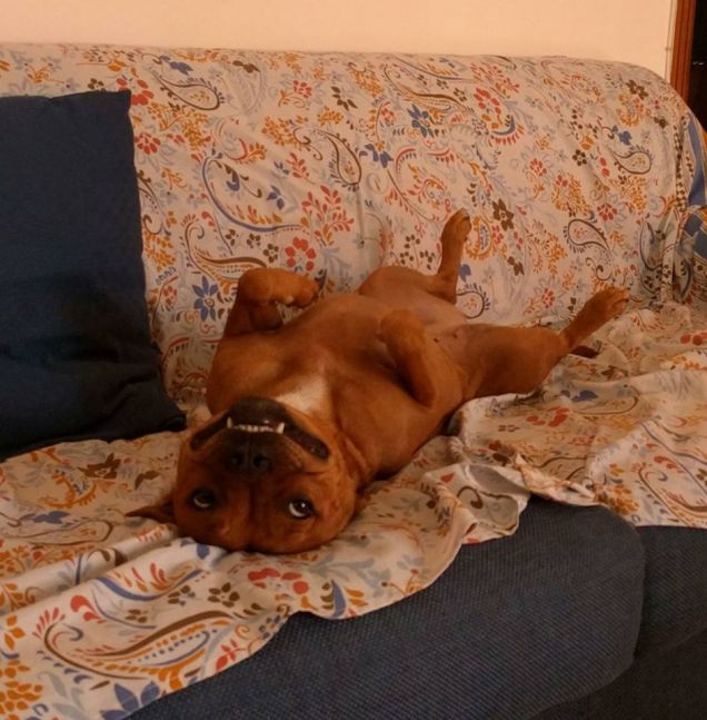 Mamma guardami, sono una vampirella! 