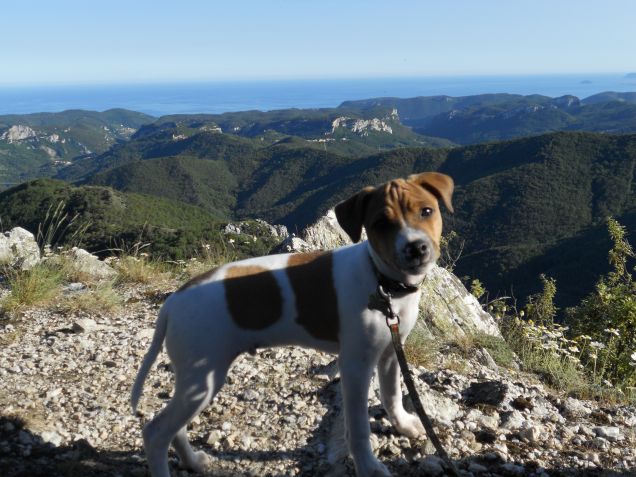 osservando vezzi dall'alto